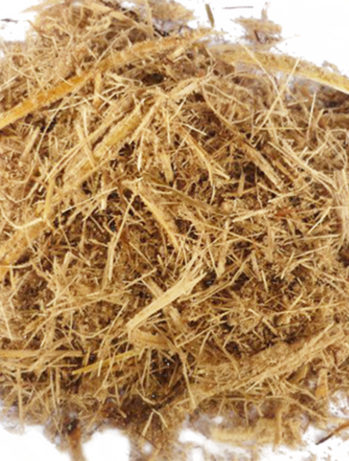 Bagasse is also used as a soil conditioner to improve soil structure and moisture retention