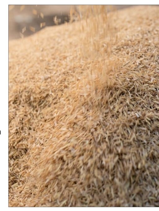 10 Uses of Rice Husk in Pakistan’s Construction Sector
