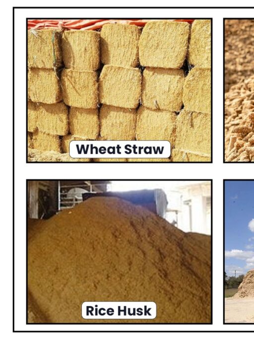 Growing Functionality of Agricultural Raw Materials: Corn Cob, Wheat Straw, Rice Husk, and Bagasse