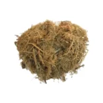 Bagasse