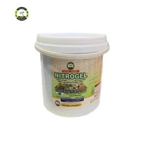 Calinbo-10litre-Calcium-10w-V