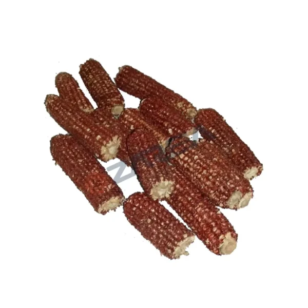 Corn-Cob-Red