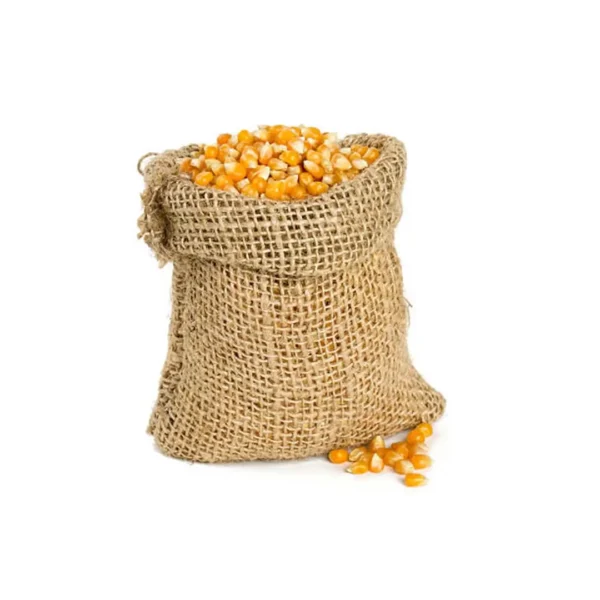 Maize(corn)