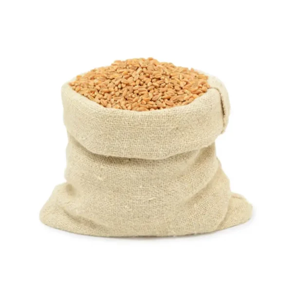 Wheat