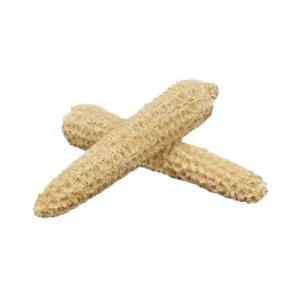 White Corn cob