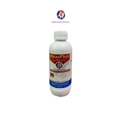 rhizophos-1-ltr