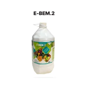 E-Bem.2