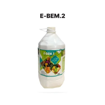 E-Bem.2