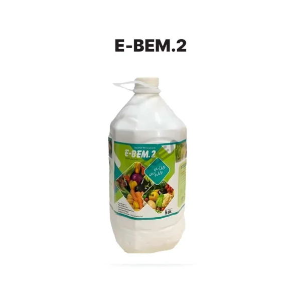 E-Bem.2