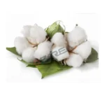 Organic-cotton