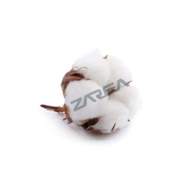 Pima-cotton