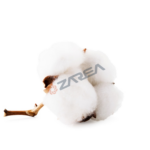 Buy Supima cotton from Zarea. A trademarked, premium variety of Pima cotton grown exclusively in the United States. (The World's Finest Cotton)