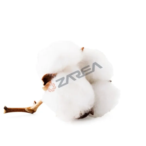 Supima-cotton