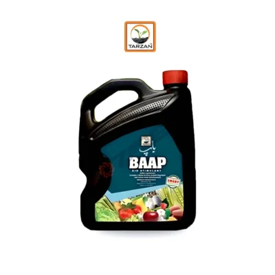 baap-3ltr