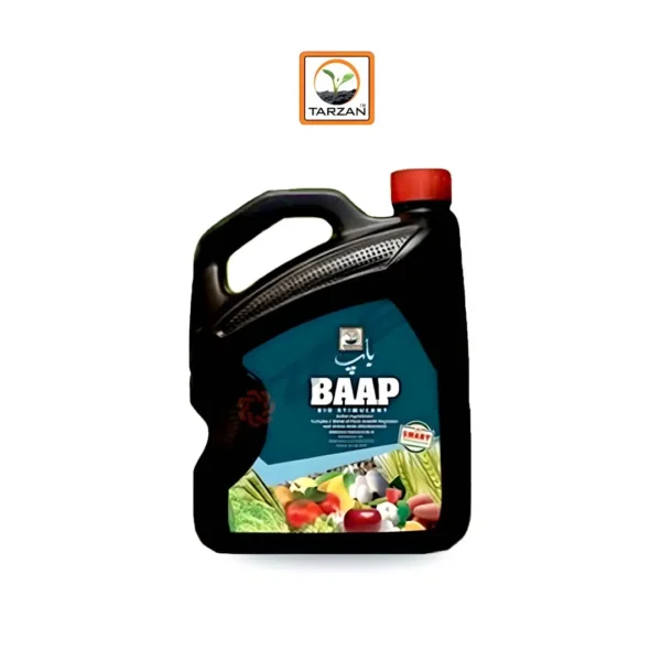 baap-3ltr