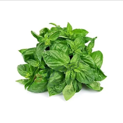 Premium Basil