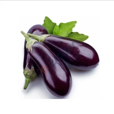 Eggplant (Brinjal)