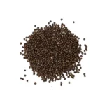 Cabbage Seeds