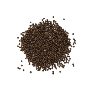 Cabbage Seeds