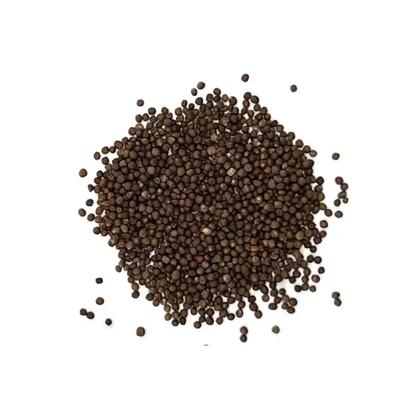 Cabbage Seeds