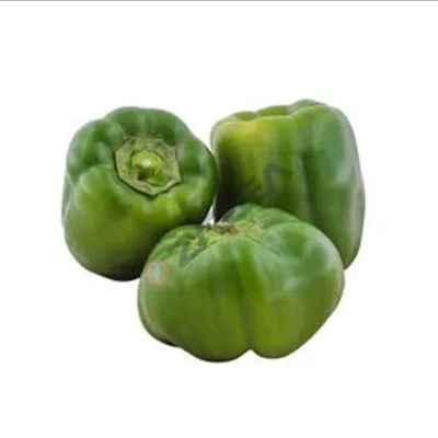 Capsicum (Shimla Mirch)