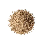 Coriander Seeds