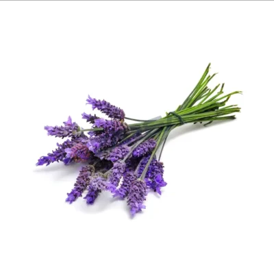 Premium  Lavender