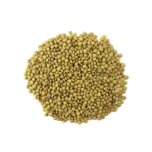 Lentil Seeds