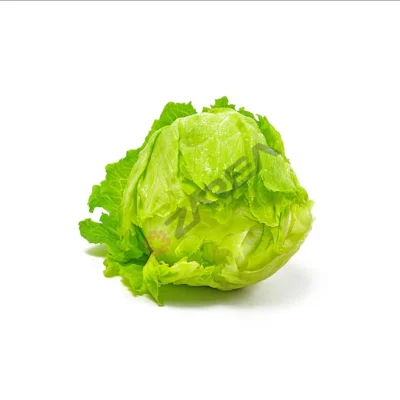 Premium  Lettuce