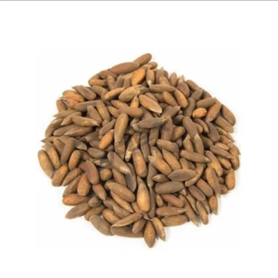 Pine Nuts (1 kg)