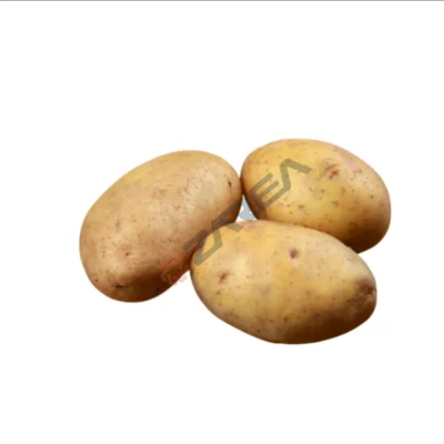 Premium  Potato