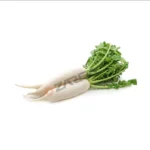 Premium Radish