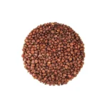 Radish Seeds