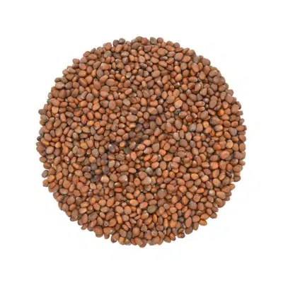 Radish Seeds