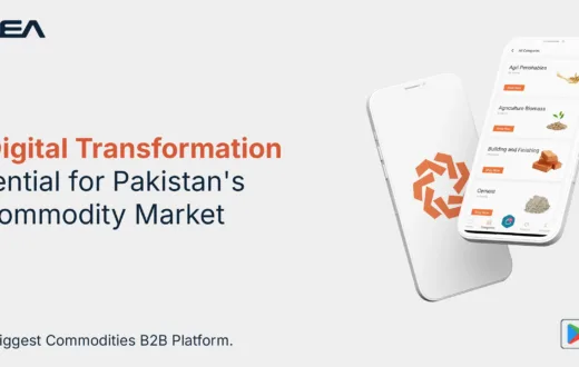 This digital transformation in pakistan has become essential, especially for the B2B sector, where efficiency and transparency are highly valued.