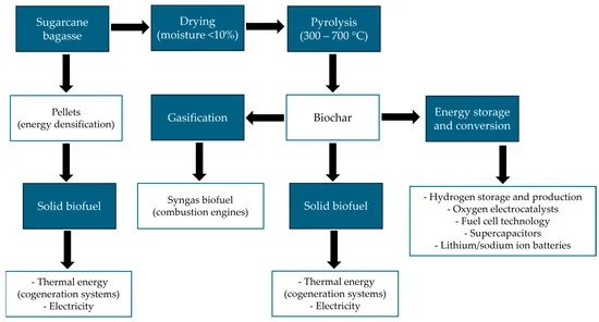 Despite its benefits, the production and utilization of bagasse face several challenges.