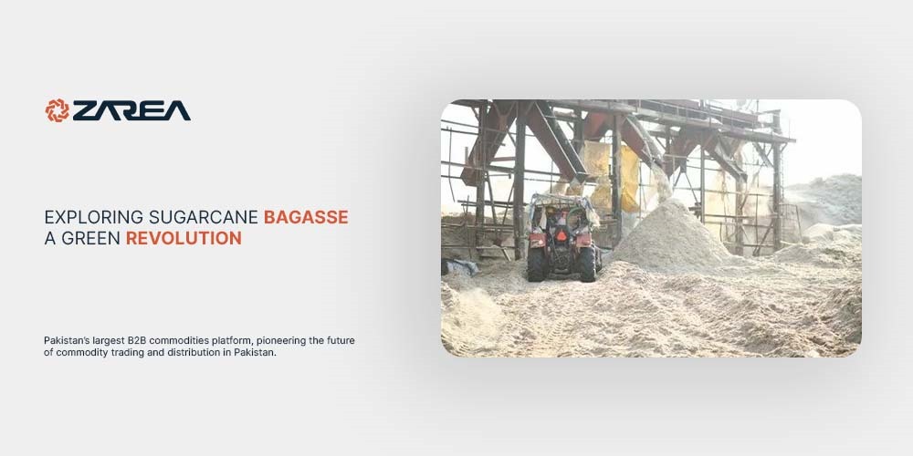 Explore the eco-friendly transformation of Sugarcane Bagasse with Zarea! Uncover its sustainable uses and advantages right away.