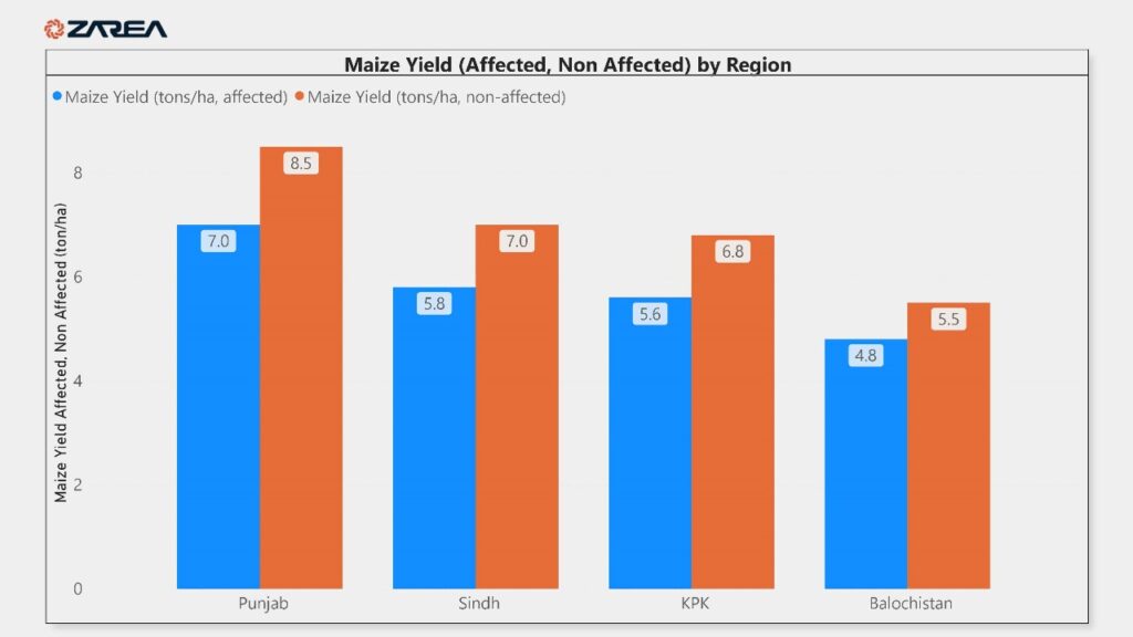 Weeds greatly affect maize crop in Pakistan, resulting in decreased yields and financial losses for farmers.