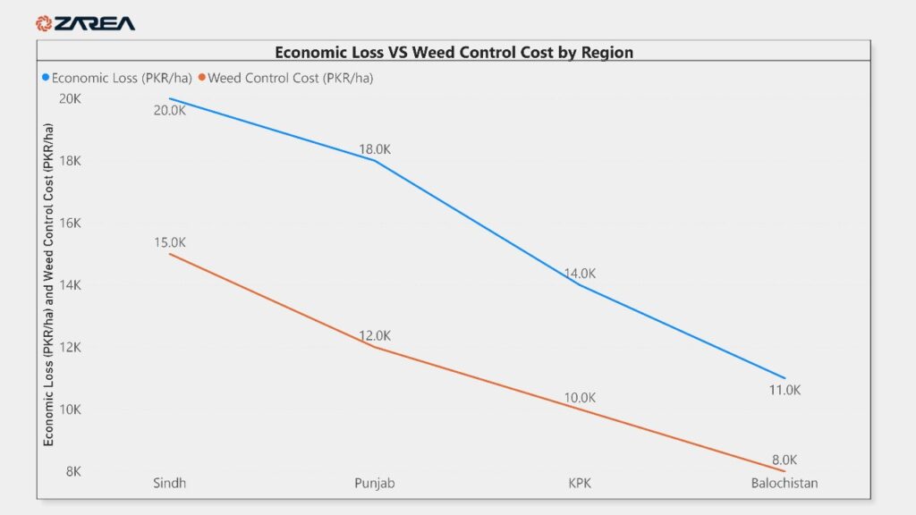 Weed plants compete with maize for their nutrition, light, and water. Different species of broadleaf weeds and narrow leaf weeds attack maize crop in Pakistan.