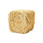 Rice Straw