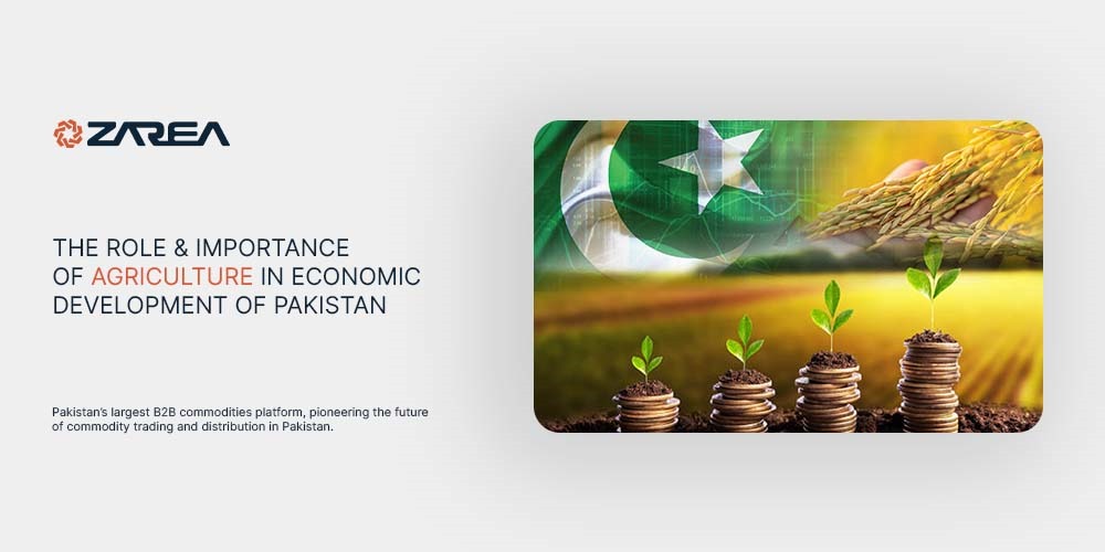 Explore through Zarea the importance of agriculture to Pakistan's economy, serving as a major source of income for numerous farmers.