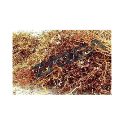 cotton stalks