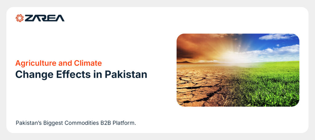 Explore how agriculture and climate change are very sensitive to the economic growth of Pakistan. It also relies heavily on land and water.