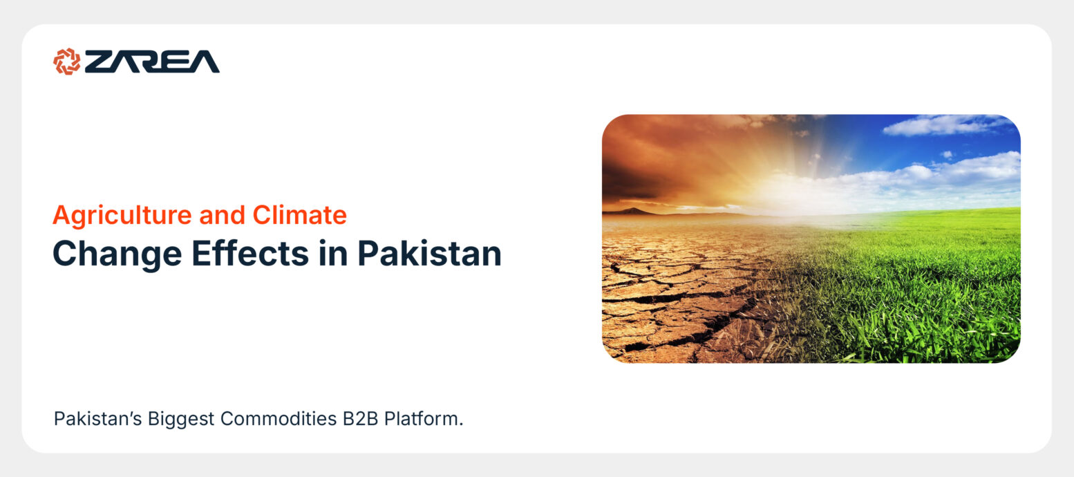 Explore how agriculture and climate change are very sensitive to the economic growth of Pakistan. It also relies heavily on land and water.