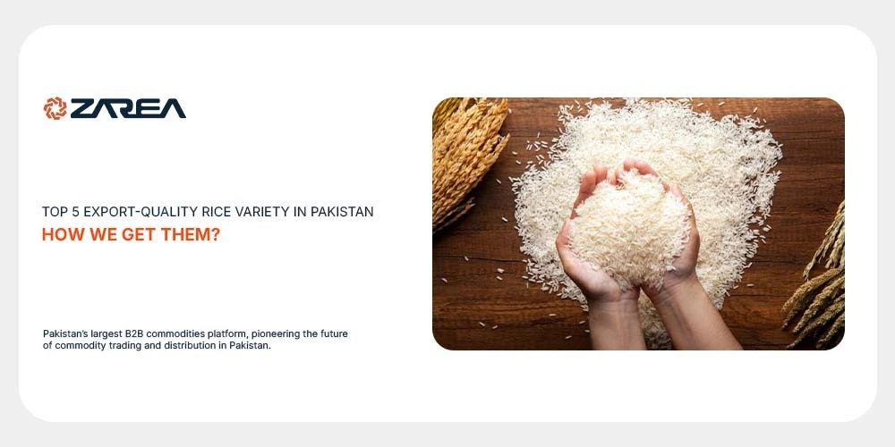 Top-5-Export-Quality-Rice-Variety-in-Pakistan