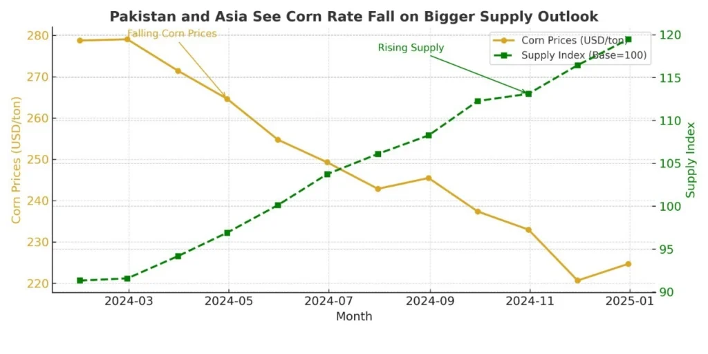 A softer maize rate offers some cost relief in Asia, where maize is an essential feed grain for the livestock, poultry, and aquaculture sectors.