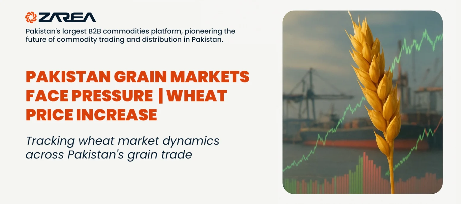 Wheat price increases pressure Pakistan’s grain market despite global supply abundance. Learn how rising costs affect local consumers.