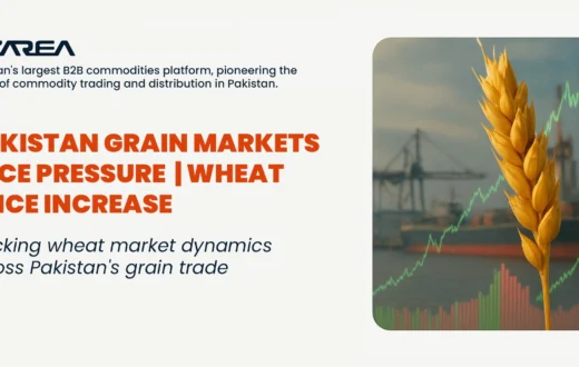 Wheat price increases pressure Pakistan’s grain market despite global supply abundance. Learn how rising costs affect local consumers.
