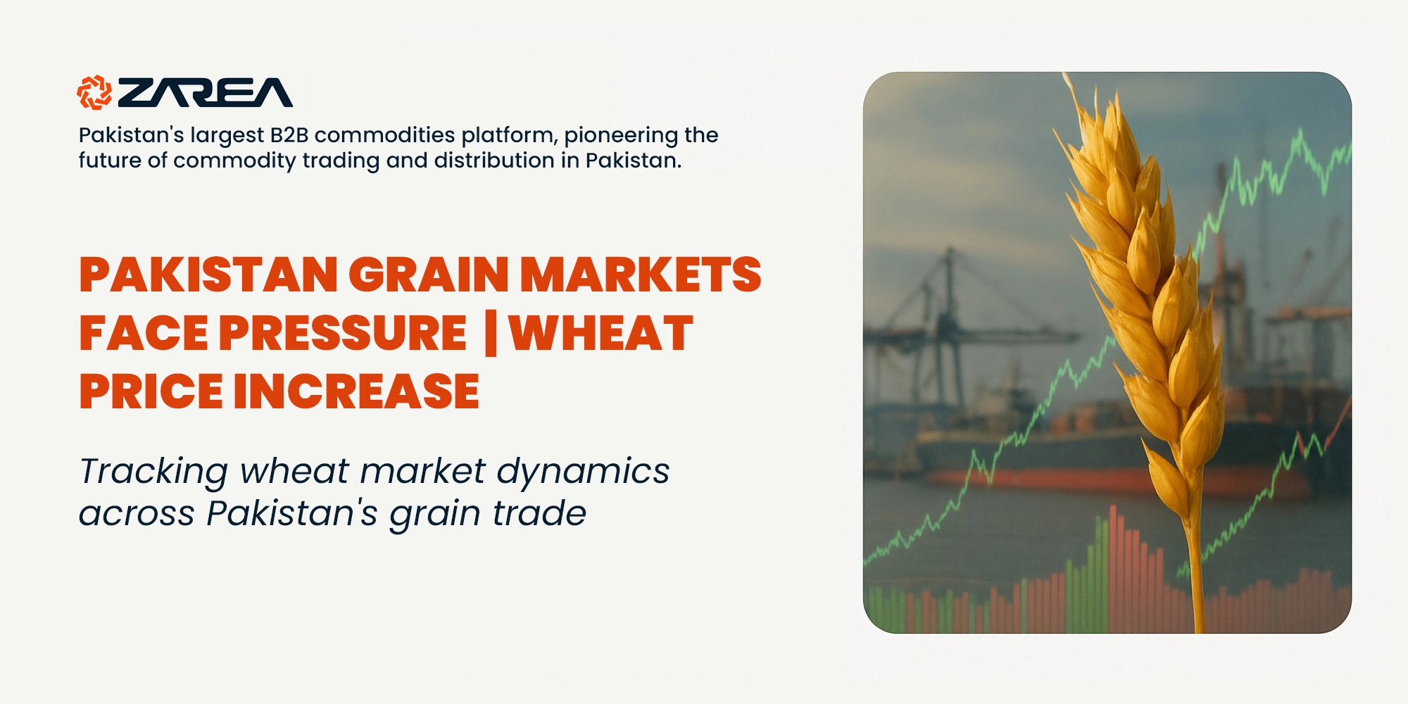 Wheat price increases pressure Pakistan’s grain market despite global supply abundance. Learn how rising costs affect local consumers.