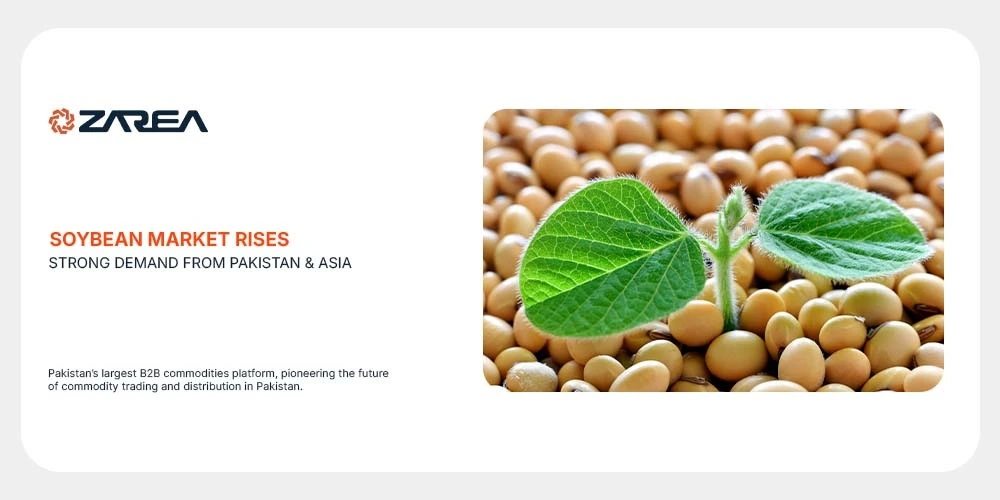 The soybean market is climbing on strong demand from Pakistan and Asia. Discover how China’s buying power are shaping prices and supply.